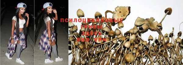 не бодяженный Алексин